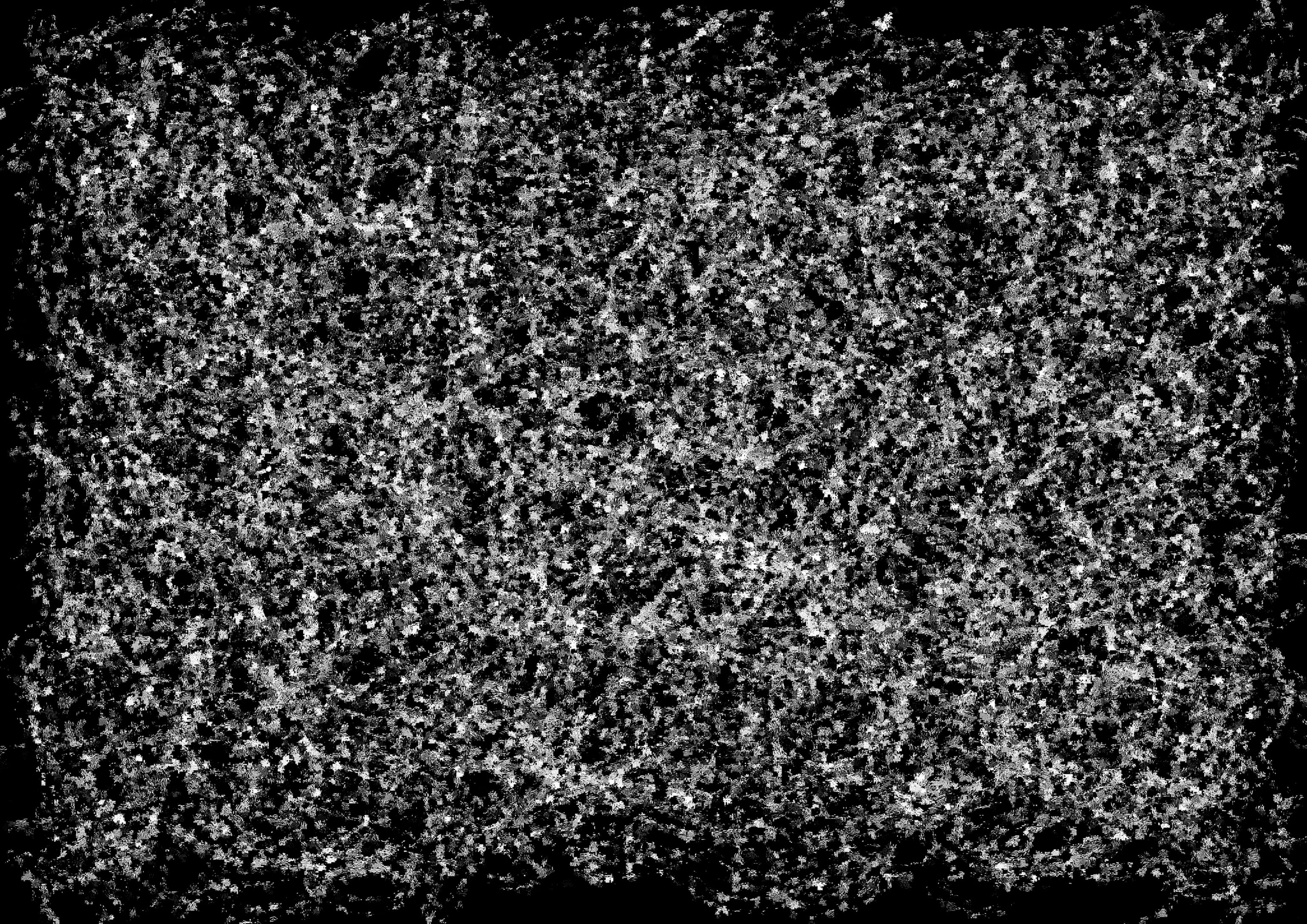 Confused_white+Brush(Cross5_216_29)